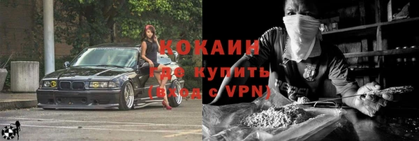 дживик Горняк