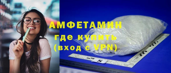 амф Новозыбков