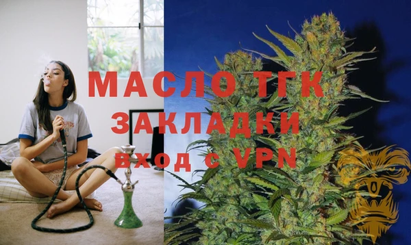дживик Горняк