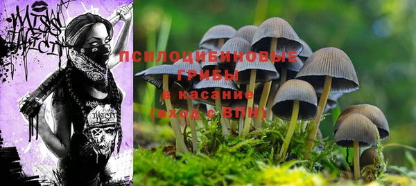 бутик Горно-Алтайск