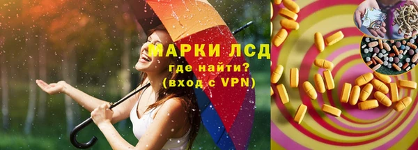 дживик Горняк