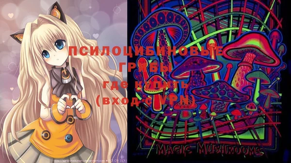 дживик Горняк
