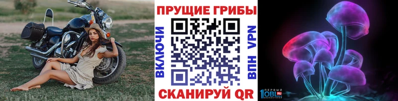 Псилоцибиновые грибы прущие грибы  нарко площадка какой сайт  Южноуральск  МЕГА  
