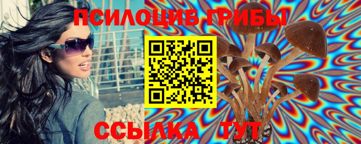 Южноуральск  Псилоцибиновые грибы мицелий  Вход с VPN 